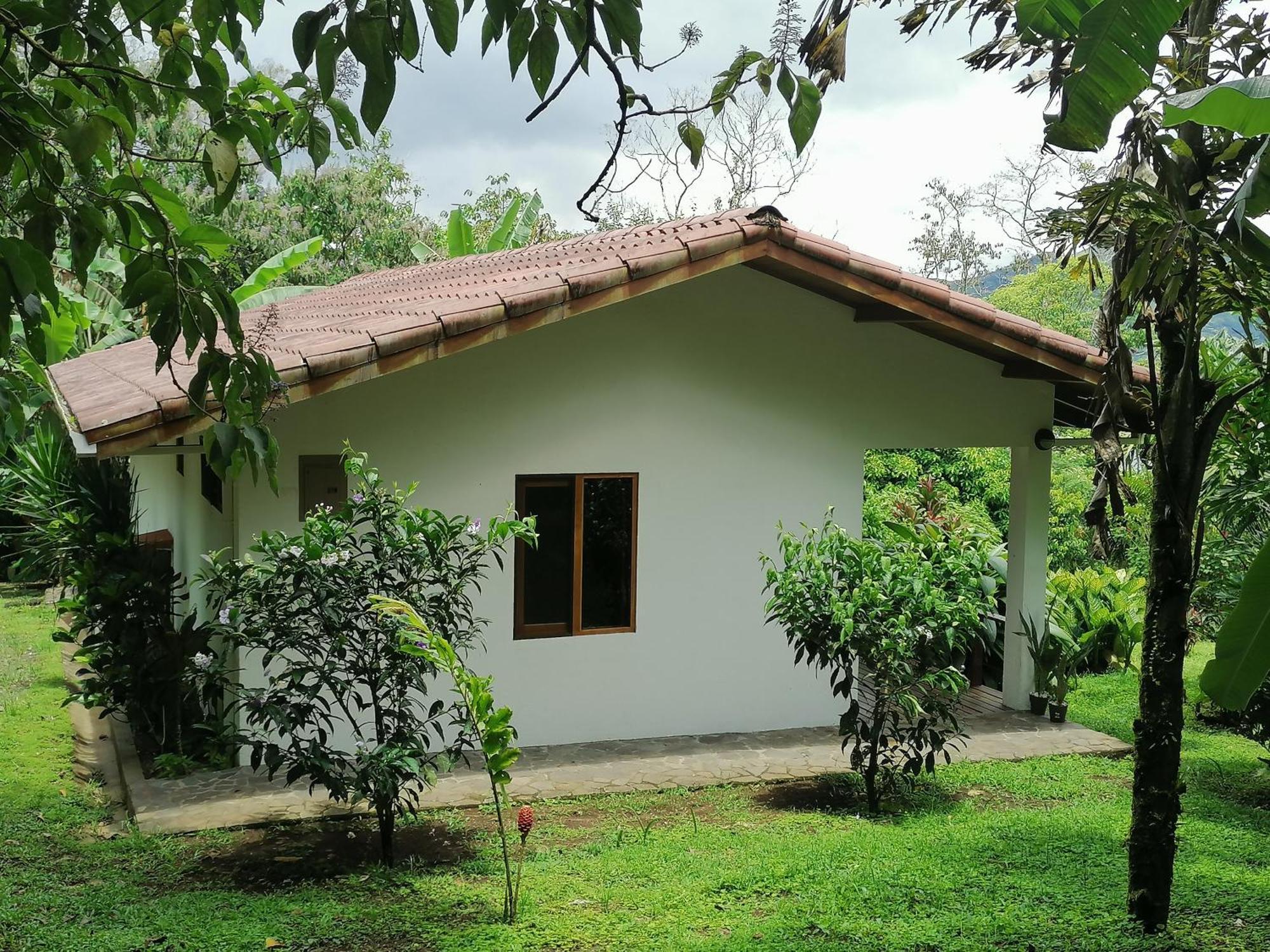 La Ceiba Tree Lodge Tilarán Εξωτερικό φωτογραφία