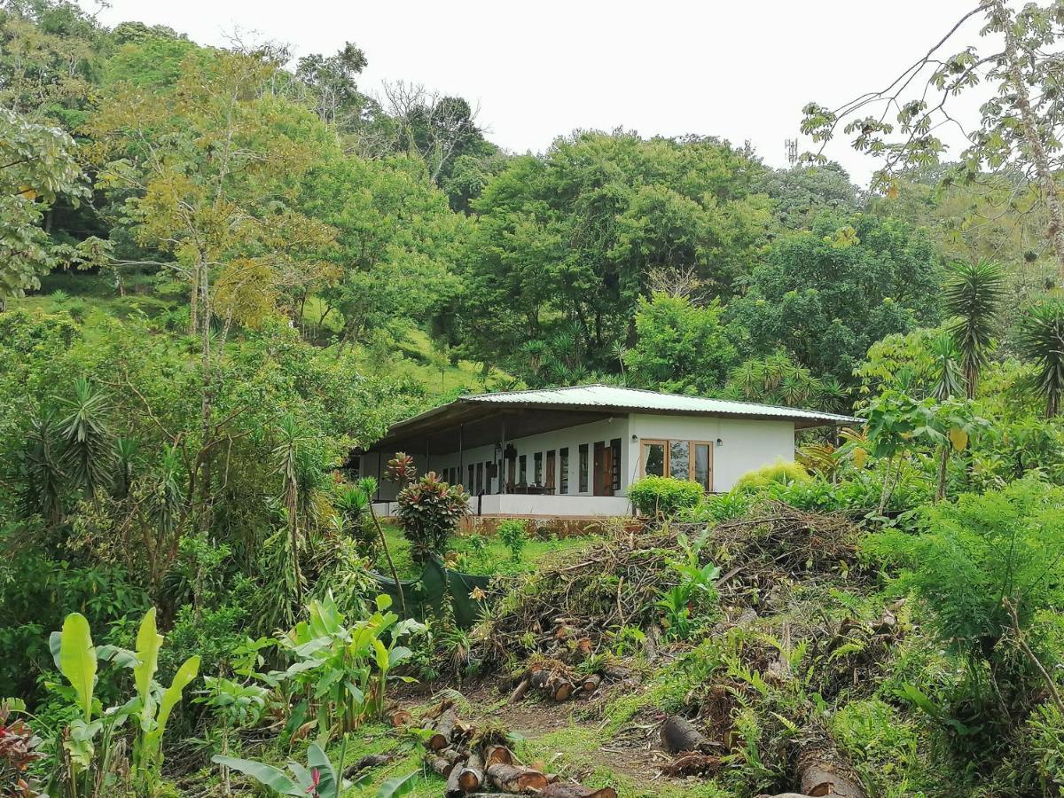 La Ceiba Tree Lodge Tilarán Εξωτερικό φωτογραφία
