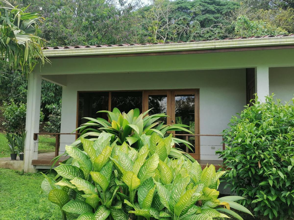 La Ceiba Tree Lodge Tilarán Εξωτερικό φωτογραφία
